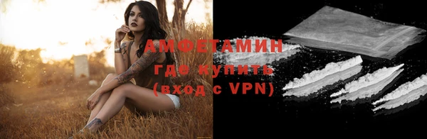 индика Няндома