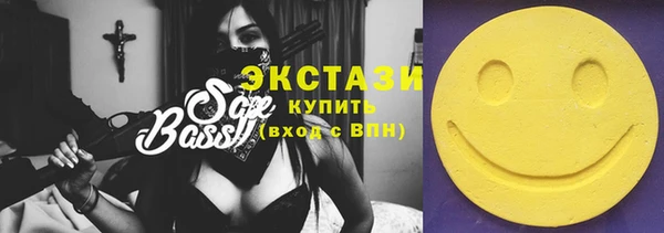 индика Няндома