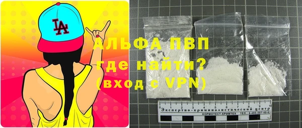 индика Няндома