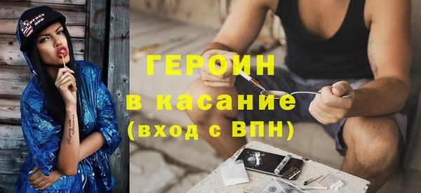 индика Няндома