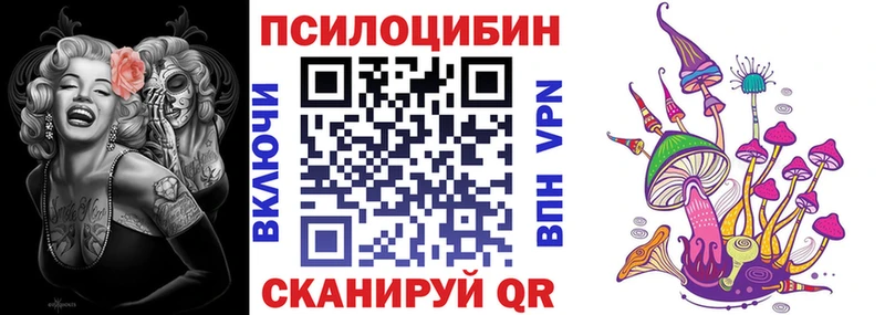 Галлюциногенные грибы мицелий  ссылка на мегу ТОР  Злынка 
